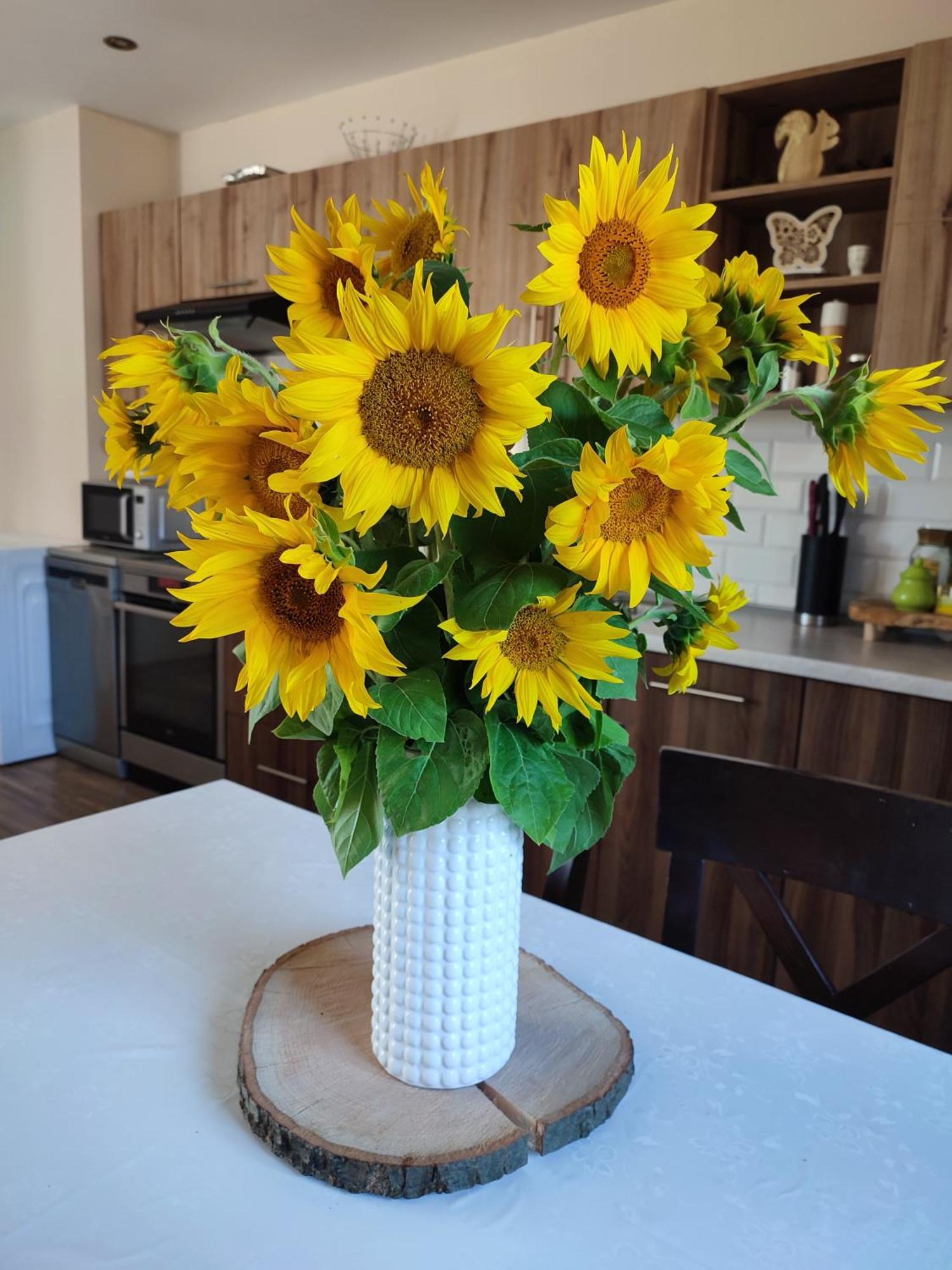 Jurajskie Pokoje Pod Lasem Bobolice  Exteriör bild
