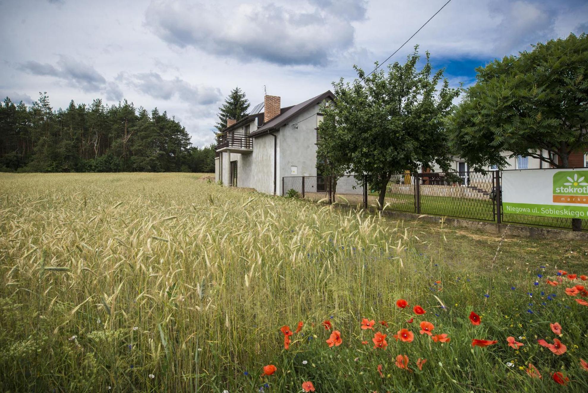 Jurajskie Pokoje Pod Lasem Bobolice  Exteriör bild